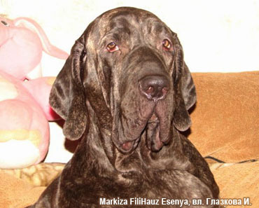 Фила Бразилейро