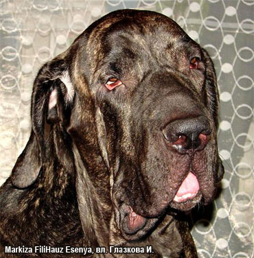 Фила Бразилейро