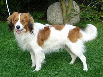 Койкерхондье